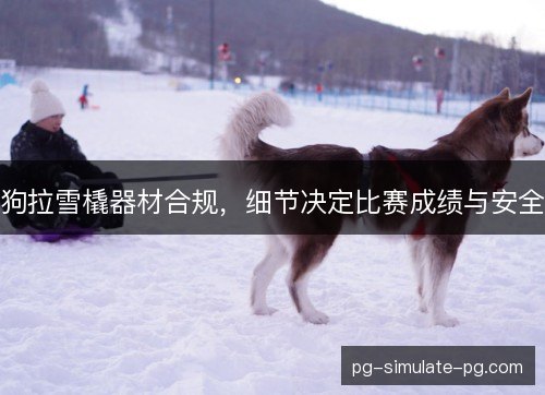 狗拉雪橇器材合规,细节决定比赛成绩与安全 狗拉雪橇器材合规,细节决定比赛成绩与安全