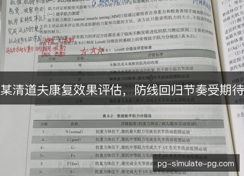 某清道夫康复效果评估,防线回归节奏受期待 某清道夫康复效果评估,防线回归节奏受期待